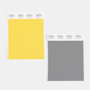 Pantone colour of the year 2021